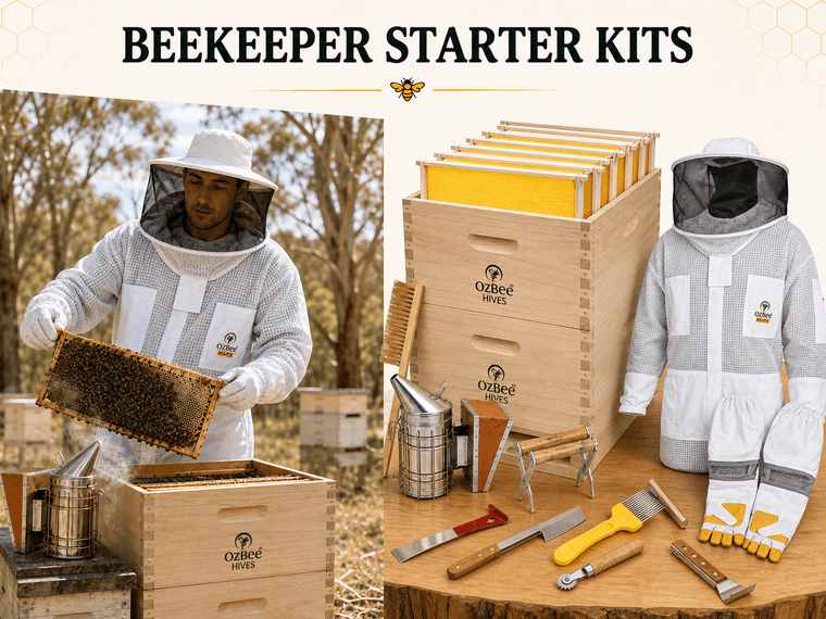 Starter kits wholesale collection