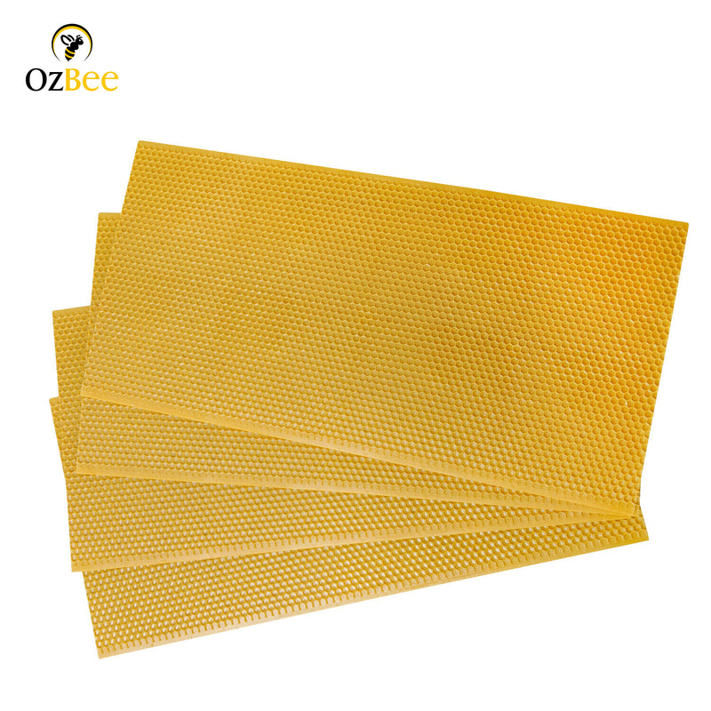 Plastic Beehive Foundation Full Depth Honeycomb Foundation for Bee Frames Yellow