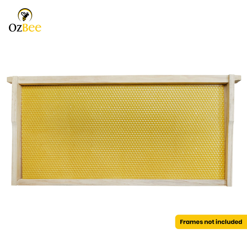 100 X Plastic Beehive Foundation Full Depth Honeycomb Foundation for Bee Frames