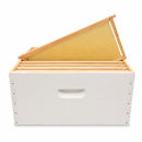 10 Frame Full Depth Double Storey Beehive Kit – Assembled & Painted with Frame Options & Mesh Bottom Board - Ozee beekeeping Supplies