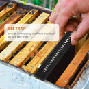 Beekeeping Hive Better Beetle Blaster Beetle Trap Without Poisons - Ozee beekeeping Supplies