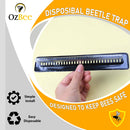 Beekeeping Hive Better Beetle Blaster Beetle Trap Without Poisons - Ozee beekeeping Supplies