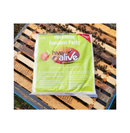 HiveAlive Fondant Bee Feed | Ready-to-Use Fondant for Honey Bee Colonies - Ozee beekeeping Supplies